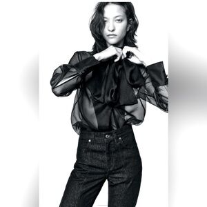 Zara Organza Blouse with Bow NWT